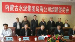 冬去春來，水泥企業(yè)“抱團取暖”，是要干啥