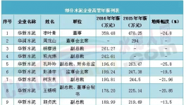 水泥企業高管年薪普降 高管年薪不太高