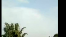 沒貨了!預約買水泥!水泥價格將向1000元/噸發起沖鋒!