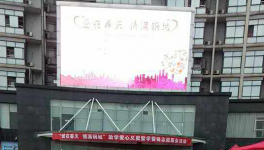 這家公司團委組織志愿者服務隊開展“學雷鋒”活動