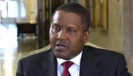 瘋狂！這個(gè)地區(qū)大搞建設(shè)！水泥賣到2000多元/噸！