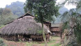 無化區(qū)來了！請(qǐng)不要妖魔化水泥廠