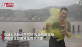 霸王級(jí)臺(tái)風(fēng)席卷多省份!近1000家水泥銷售受影響！  