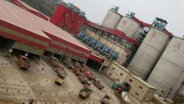 “頂風(fēng)作案”！紅獅水泥又出事了！