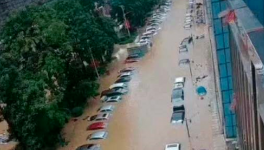 立即撤離！15個(gè)省市緊急預(yù)警！水泥價(jià)格集體下跌！