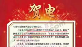 又是海螺水泥！創造世界水泥行業奇跡！