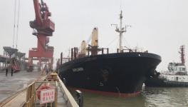 又有一船進口熟料共42600余噸卸載完成！