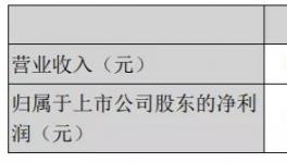 天山股份年報：2020年實現凈利潤15.16億元！