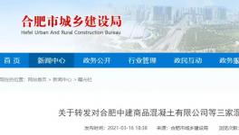 連發(fā)多起安全事故！三家混凝土企業(yè)被處理！