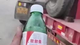 被罰5000元！貨車司機接受不了，喝敵敵畏抗議！