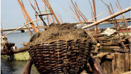 年耗500億噸，沙子快不夠人類使用了！