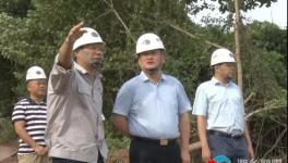 南方水泥上半年營收3.65億元！新項目推進中！