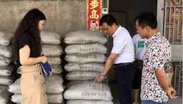 市場上這7個主要水泥品牌被質量抽檢！