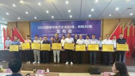 銅陵上峰:連續9年上榜“地方企業50強”！