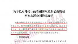 海螺創業擬對外轉讓這兩家公司100%股權！