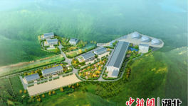 水泥行業“特種兵”，六大系列28個品種！