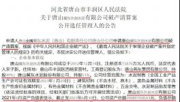 冀東水泥旗下公司破產(chǎn)清算！選聘專業(yè)機(jī)構(gòu)