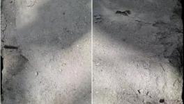 春江豐華水泥質量不合格！多地監管部門全面督查！