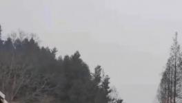 突發！8死20傷！又是超載罐車惹禍！