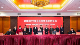 火爆！中建材、海螺、華新、紅獅、集體上項目！