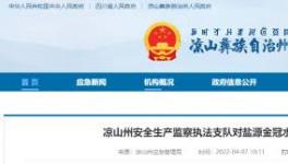 應急管理局通報：鹽源金冠水泥被查出多處問題！