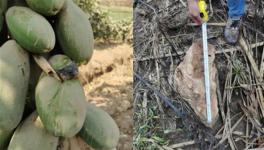 安全距離是與非！華新水泥爆破飛石遭質疑！