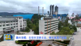 海螺子公司3條熟料生產線實現營收118億！