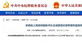 突發！海螺原董事長被查！