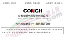 缺錢！海螺子公司“架空”！“借錢”100億 ！