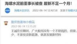 海螺蒸發1300億，逾700億元投資或存變數！