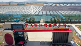 巧用水泥余熱，工業轉型反哺農業！