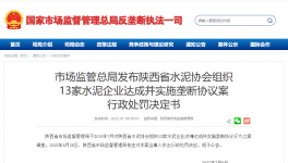 陜西水泥協會及13家水泥企業被罰4.51億！