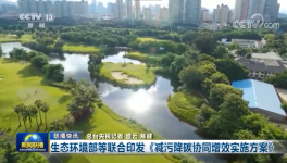 環(huán)保政策加嚴(yán)！氨逃逸不超標(biāo)這些企業(yè)做到了！