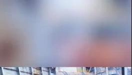 殺公雞！開窯！水泥廠“辟邪”！