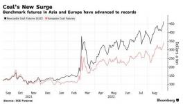 瘋了！這種原料價格破紀錄！水泥廠“哭了”！
