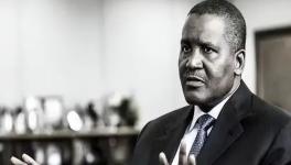 因涉嫌污染環境，這家水泥廠被關閉