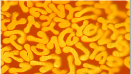 對比明顯，這個材料完勝！最長可用8年，節(jié)約電費百萬！