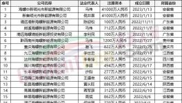 瘋狂！“上下”通吃！海螺連續成立50多家公司！